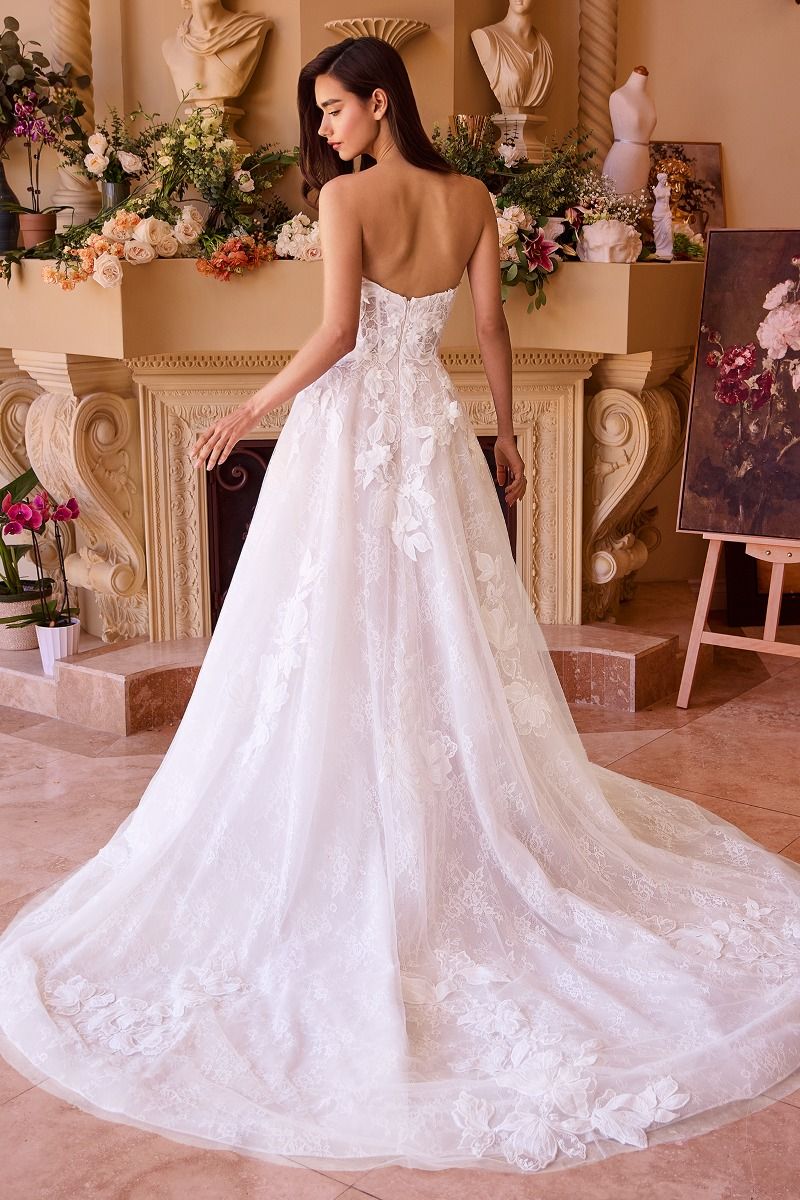 Lace Wedding Ball Gown-2