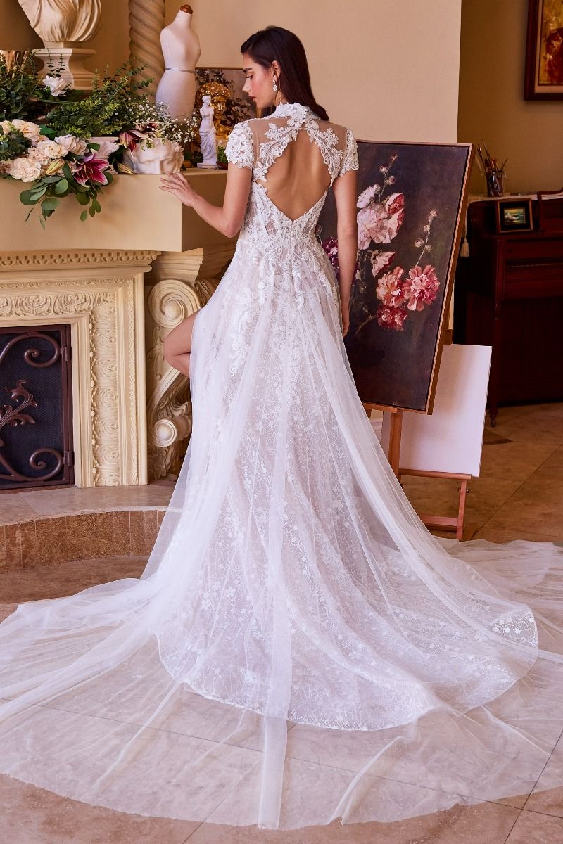 Lace & Tulle Short Sleeve Wedding Gown-4