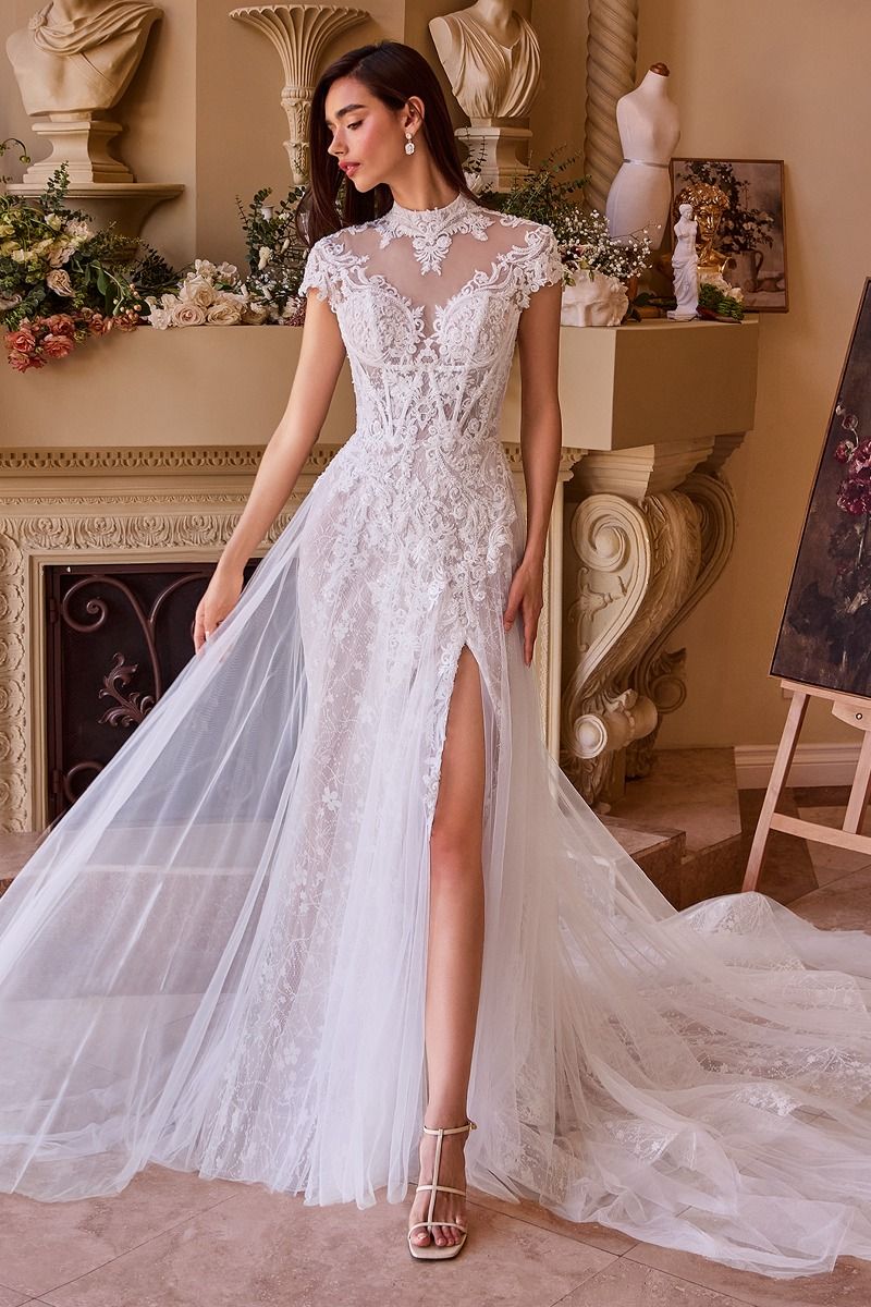 Lace & Tulle Short Sleeve Wedding Gown-1