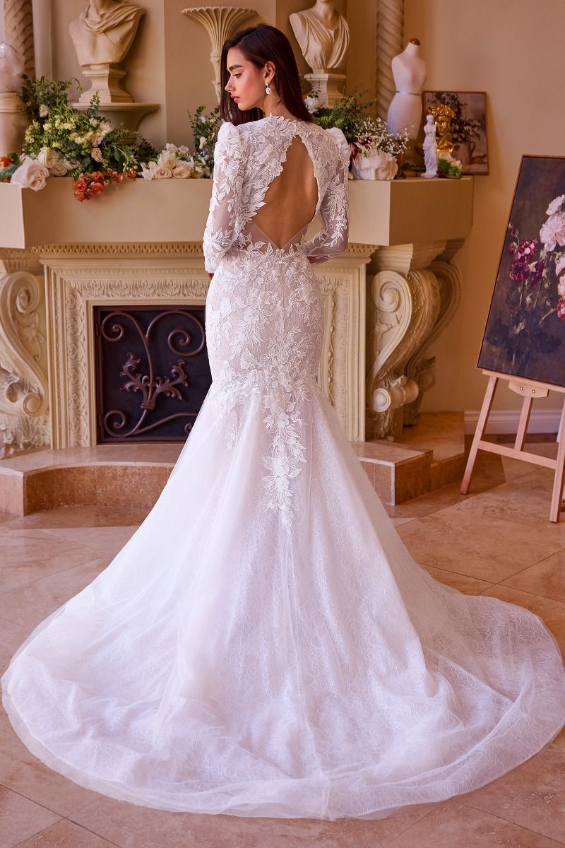 Long Sleeve Lace Mermaid Bridal Gown-2