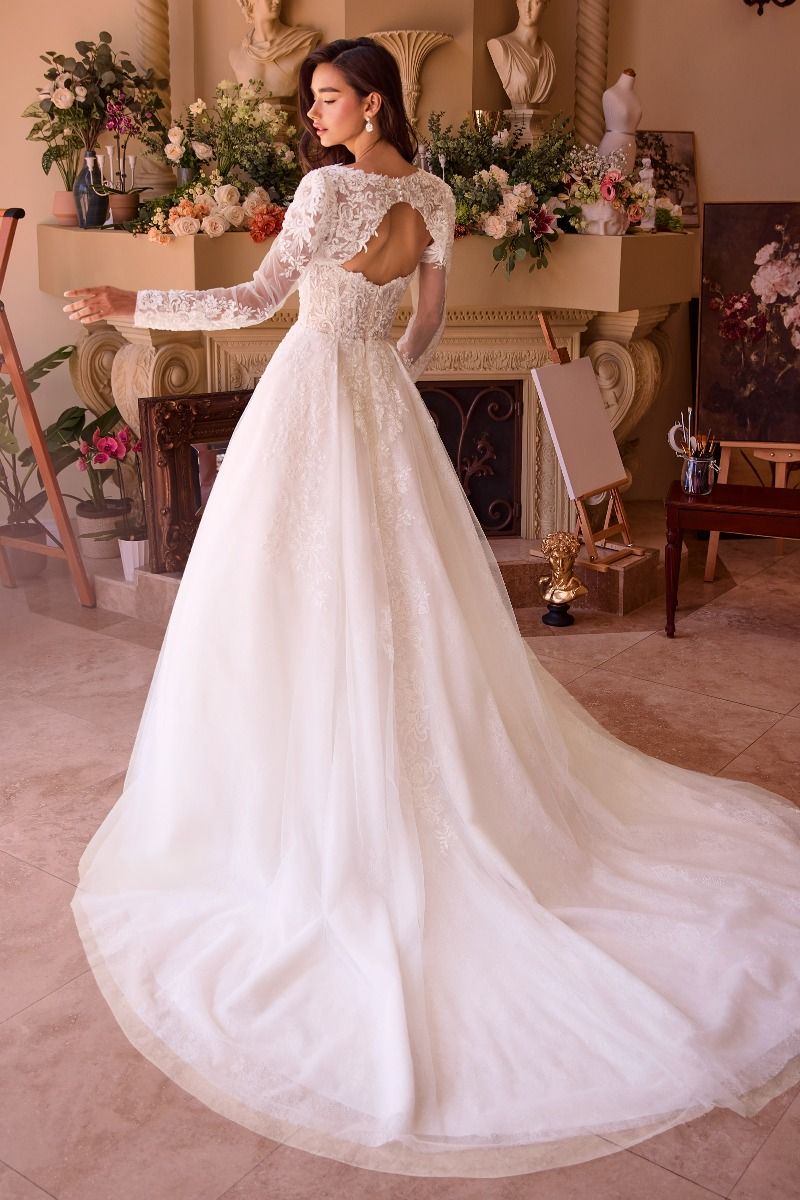 Strapless Wedding Ball Gown & Lace Bolero-2