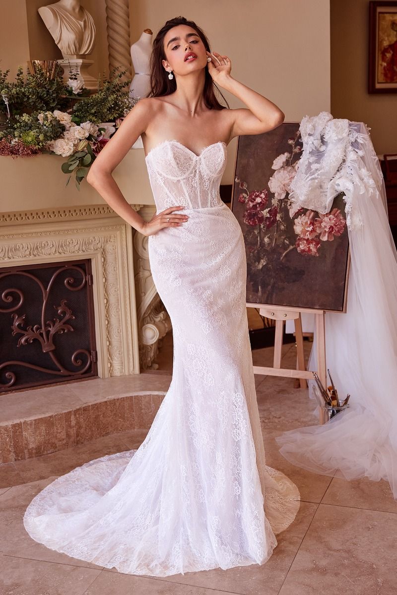 Two Looks In One Wedding Gown-1