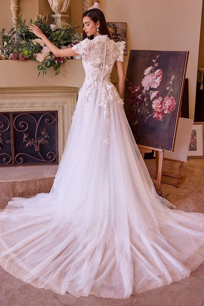 Two Looks In One Wedding Gown-3