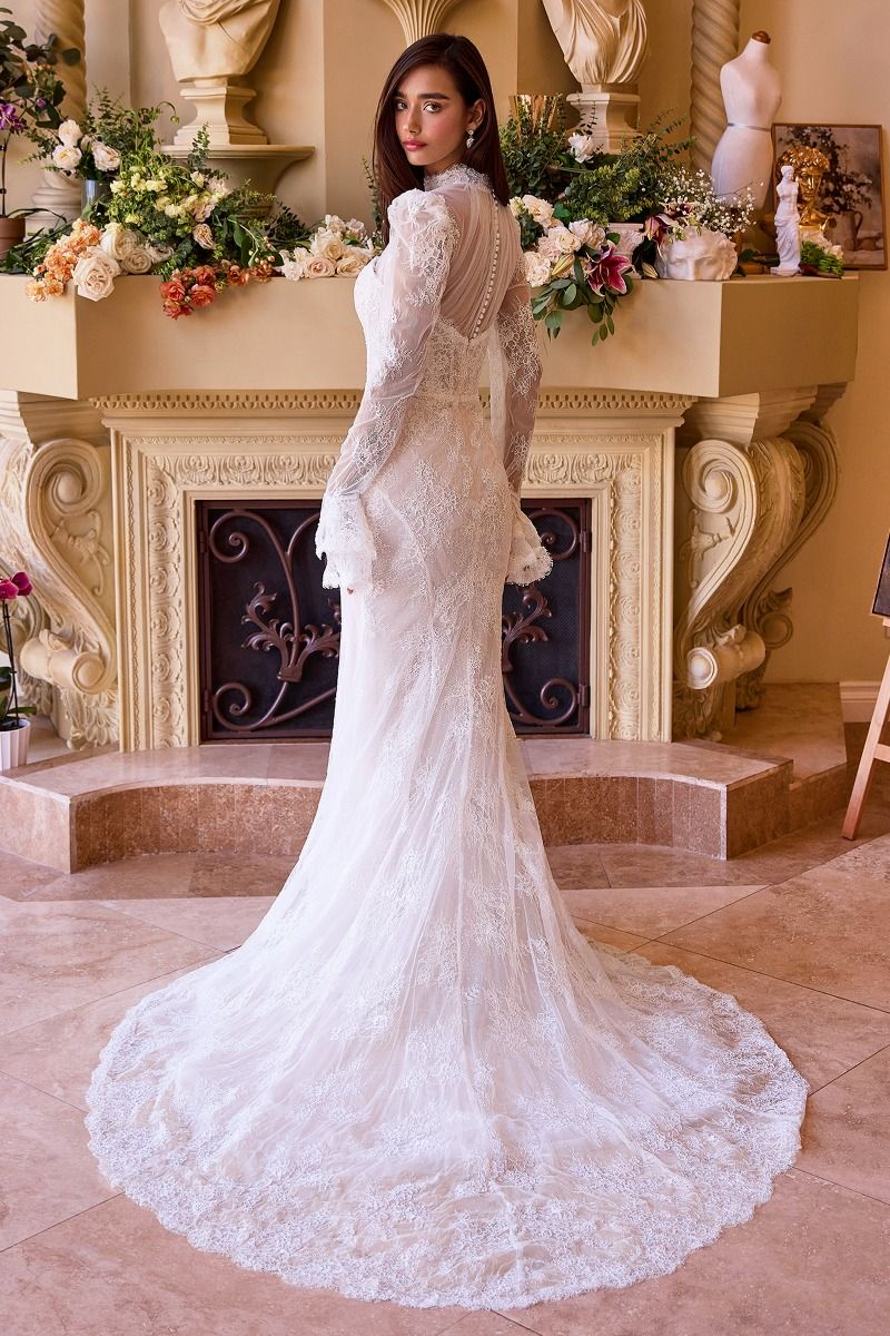 Versitile Fitted Lace Bridal Gown-4