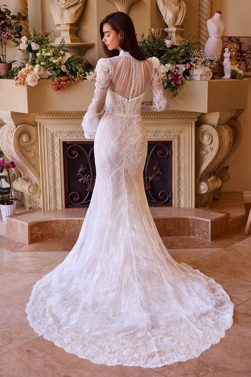 Versitile Fitted Lace Bridal Gown-2