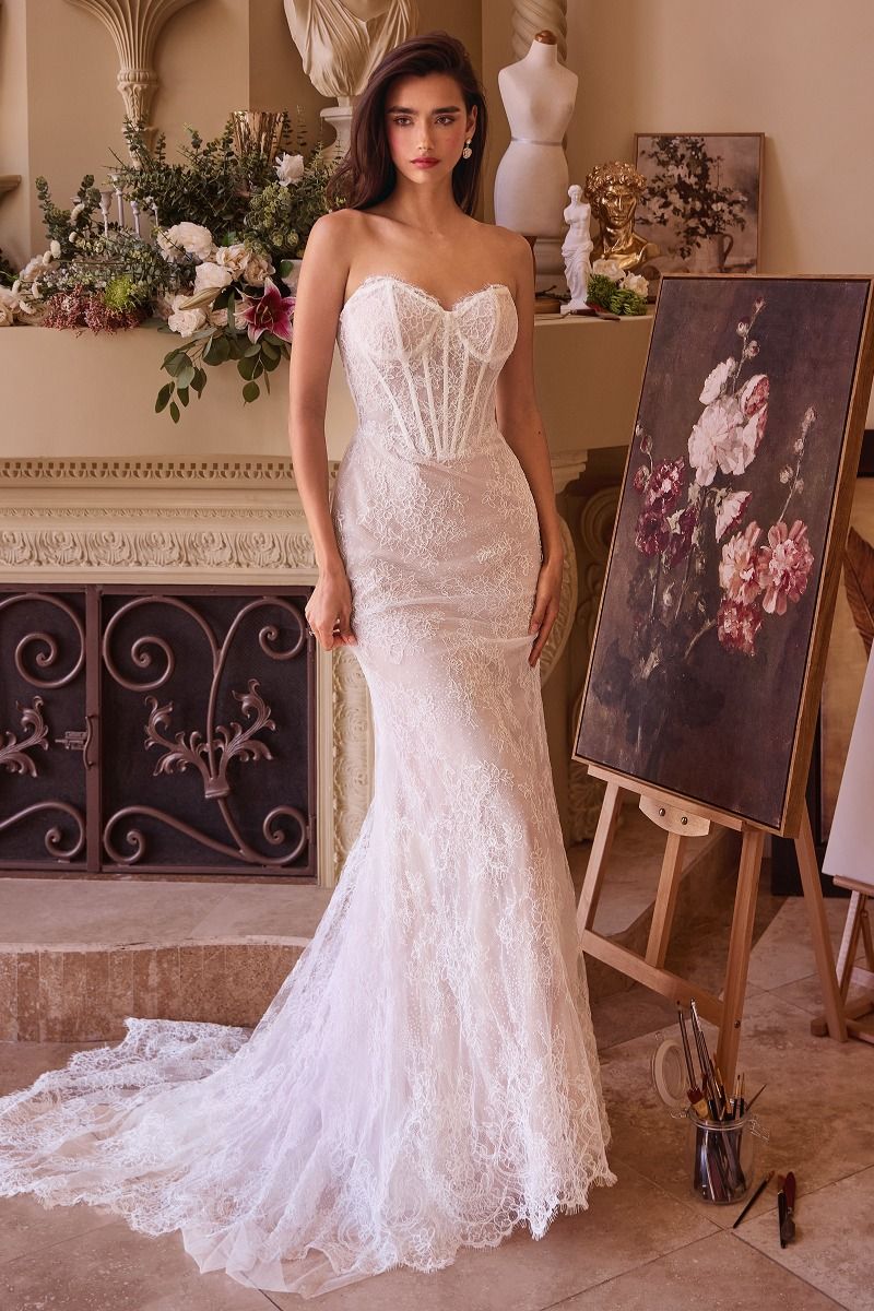 Fitted Lace Wedding Dress & Removable Overskirt-1