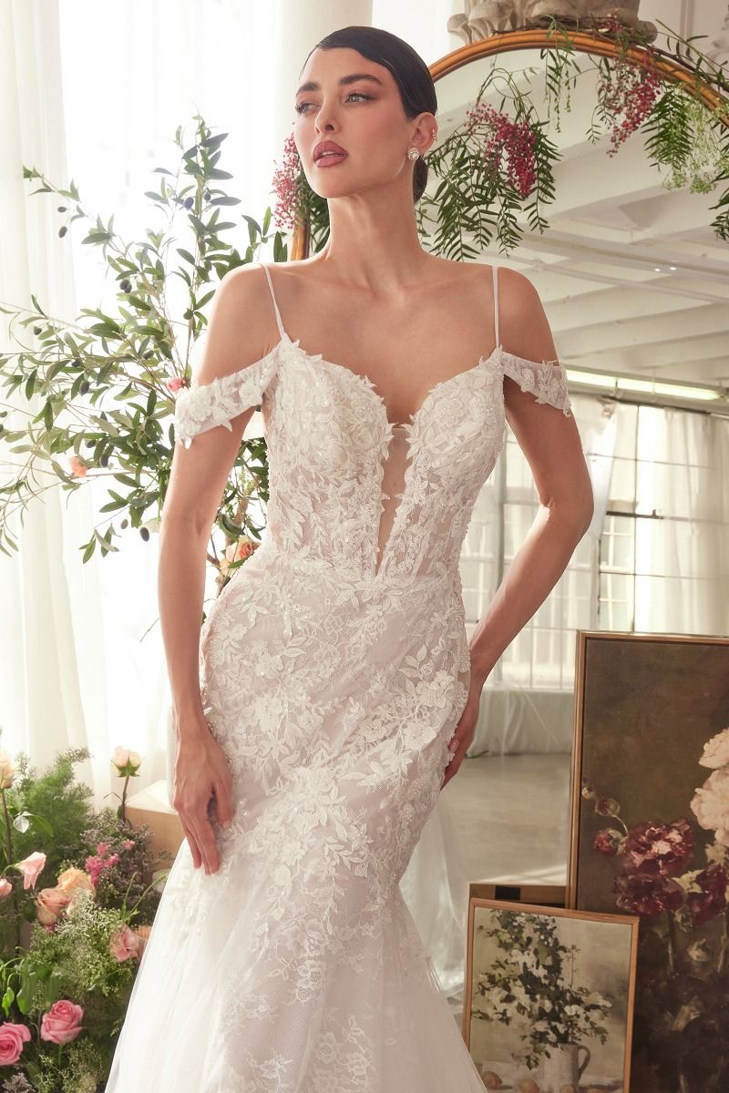 Fitted Lace Mermaid Wedding Dress-1
