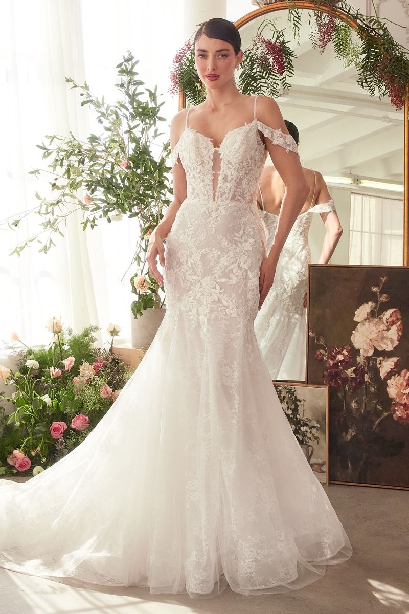 Fitted Lace Mermaid Wedding Dress-2