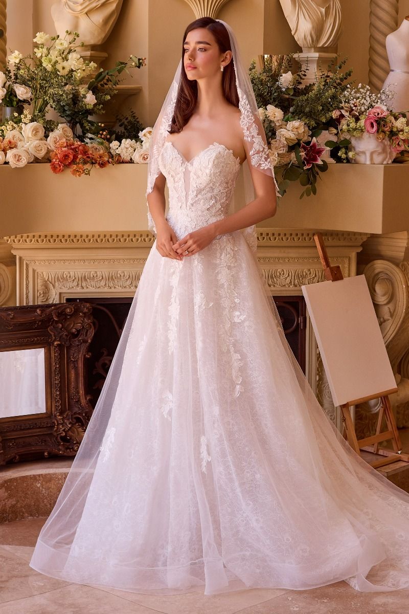Deep Sweetheart Strapless Bridal Ball Gown-3