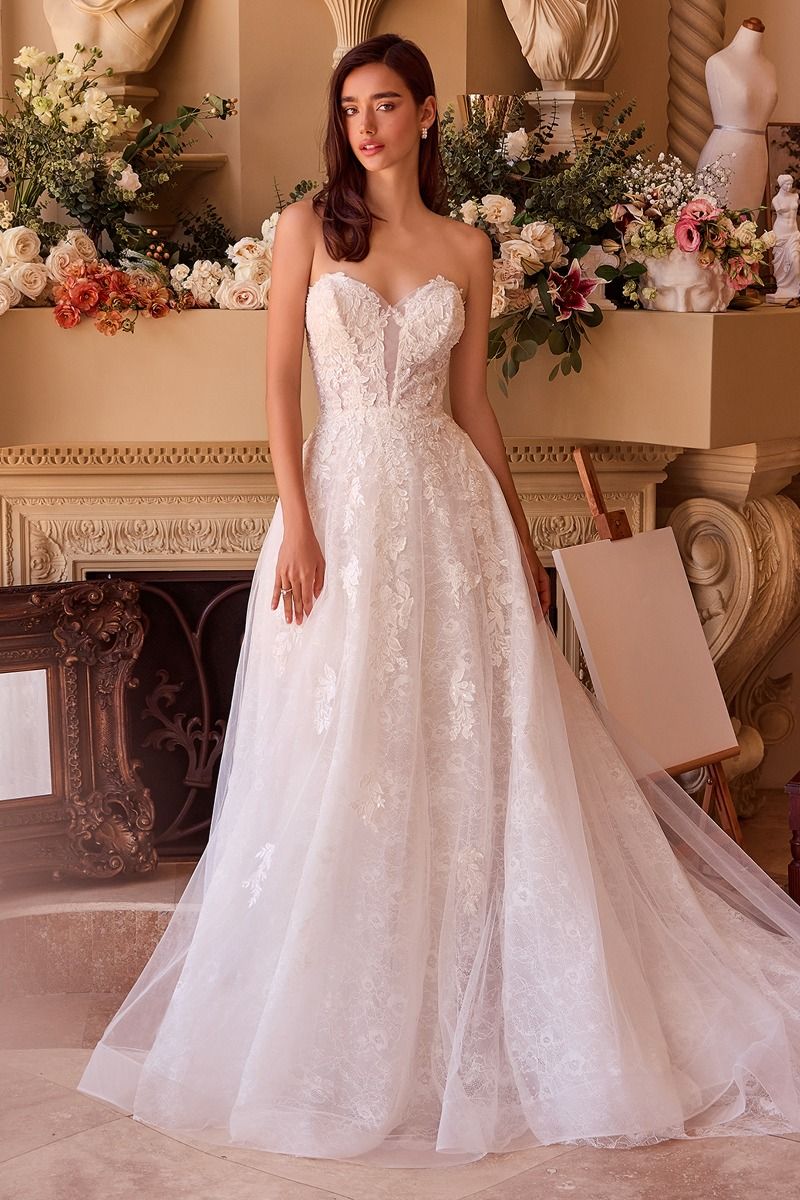 Deep Sweetheart Strapless Bridal Ball Gown-2