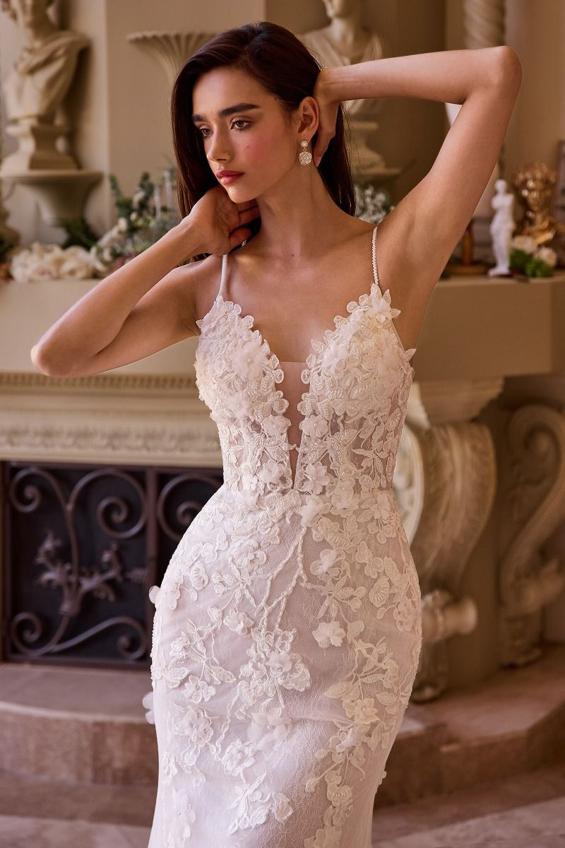 Fitted Lace Wedding Gown-3