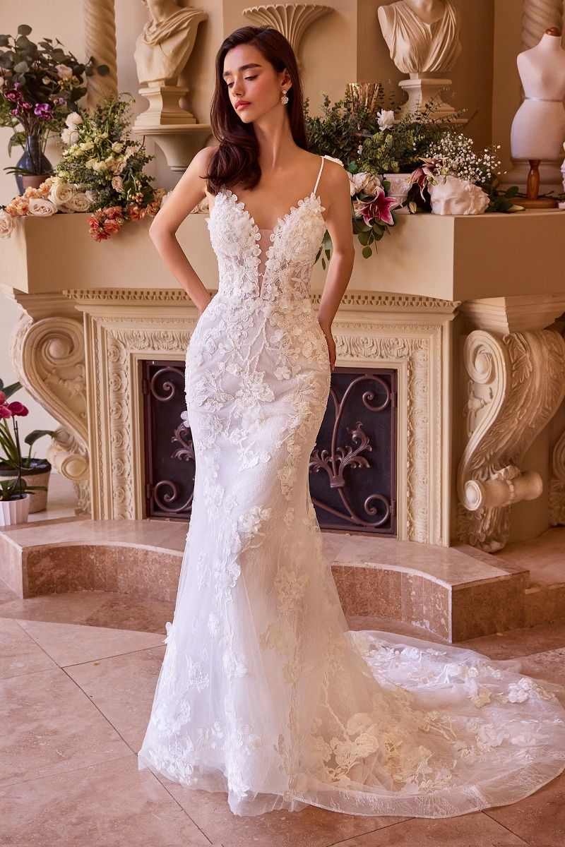 Fitted Lace Wedding Gown-1