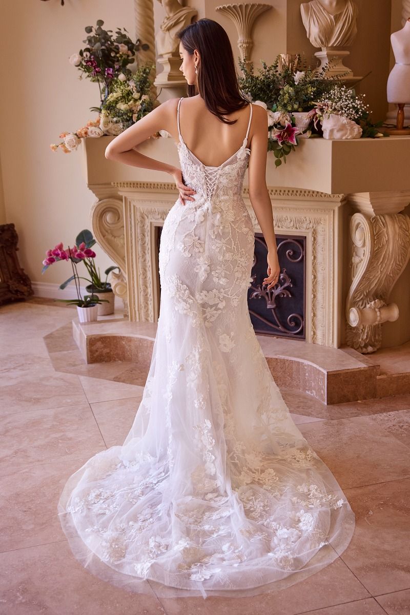 Fitted Lace Wedding Gown-2
