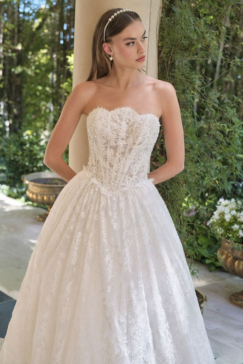 A-Line Wedding Gown With A Strapless Sweetheart Neckline And Intricately Embroidered Lace Bodice.-0