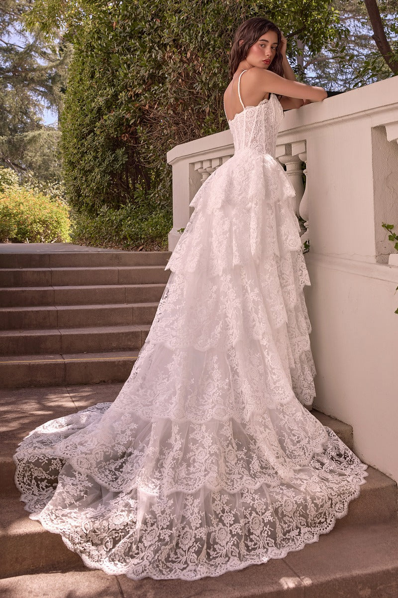 Layered Scallop Lace Ball Gown-2