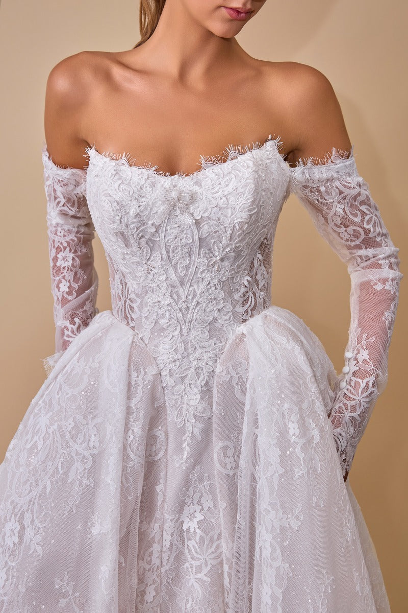 Lace Wedding Ball Gown With Long Sleeves-1