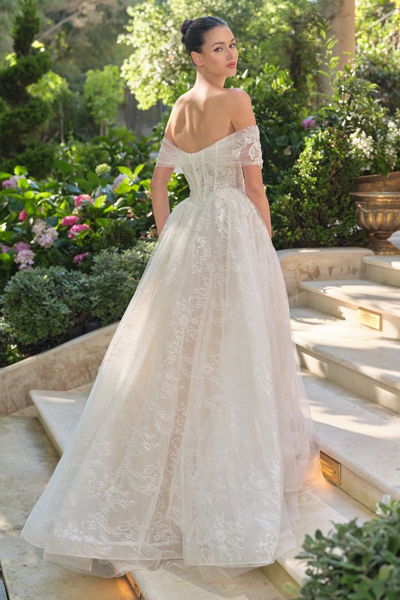Wedding Ball Gown Illusion Bodice Adorned With Cascading Floral Appliqué-4